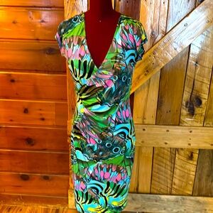 Joseph Ribkoff Colorful Safari Dress Size4
